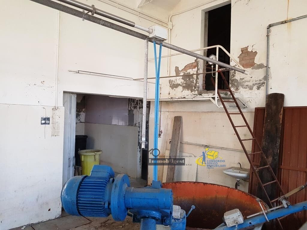 Caseificio Enzano · Sorbolo Mezzani · Rif. IMENZ · foto 7