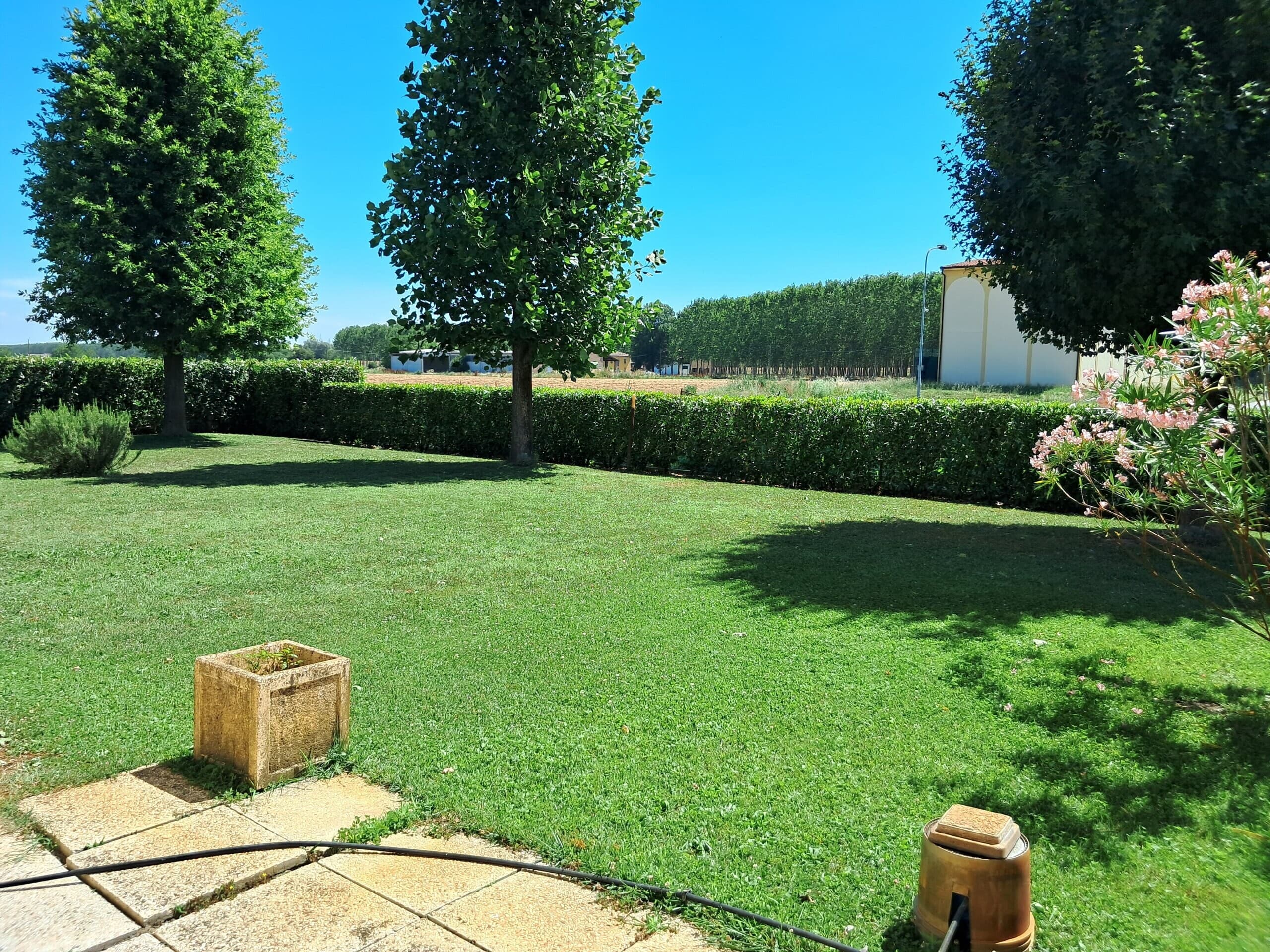 Dall'Argine · Sorbolo Mezzani · Rif. 349 · foto 2