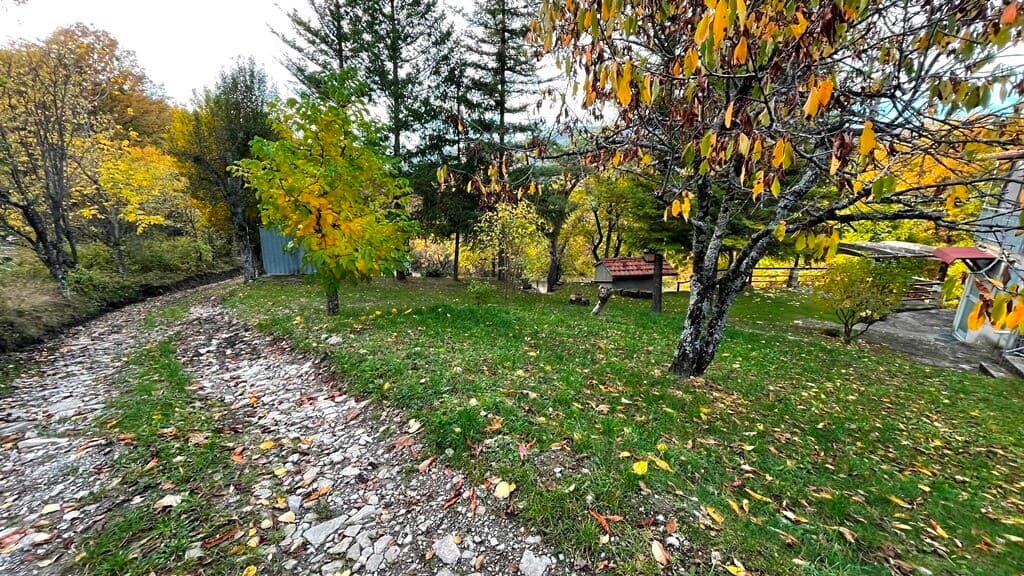 Rustico Pessola · Varsi · Rif. 973 · foto 7