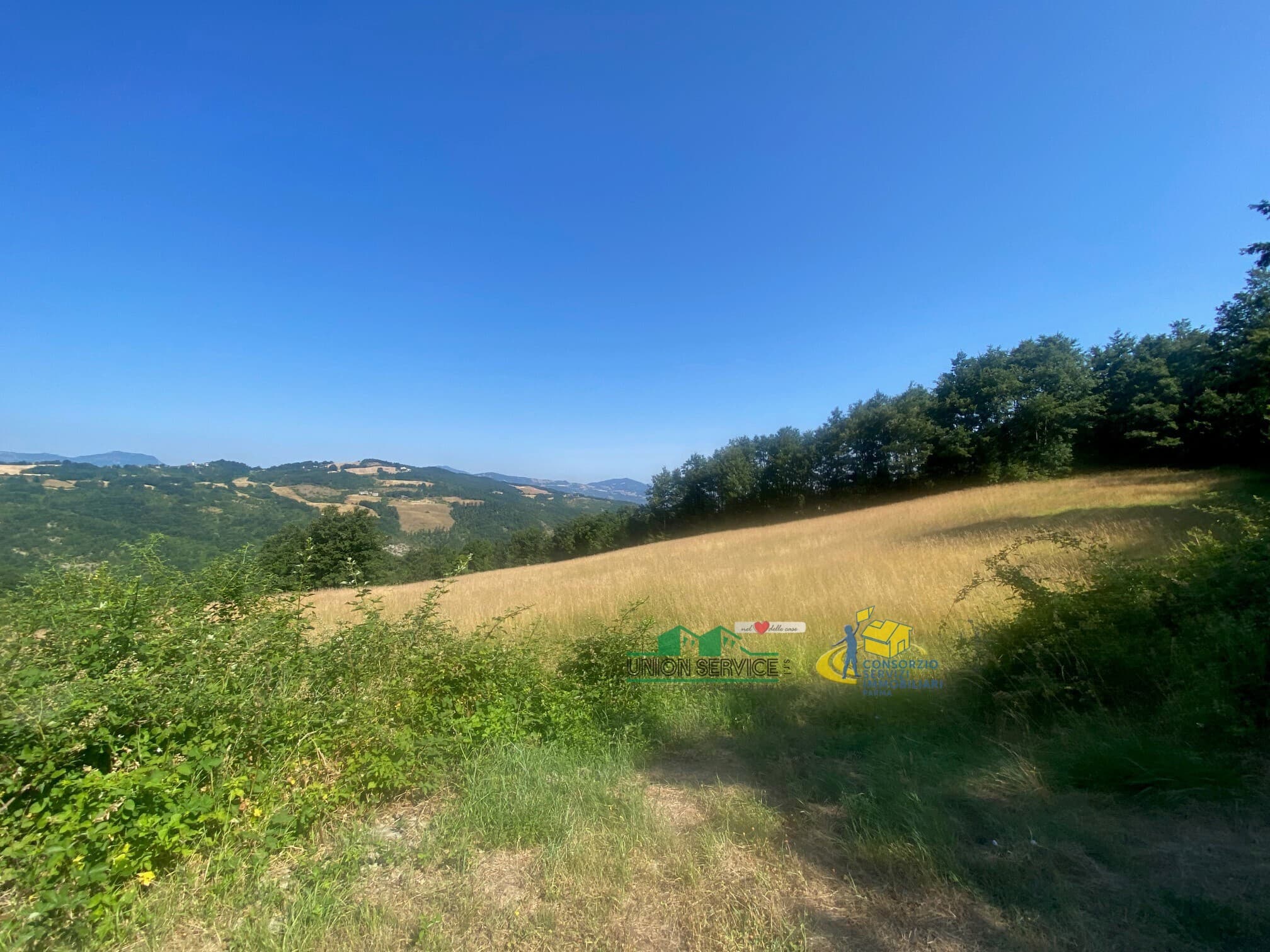 Podere i Molinelli Perneto/Castellonchio Berceto · Berceto · Rif. 957 · foto 6