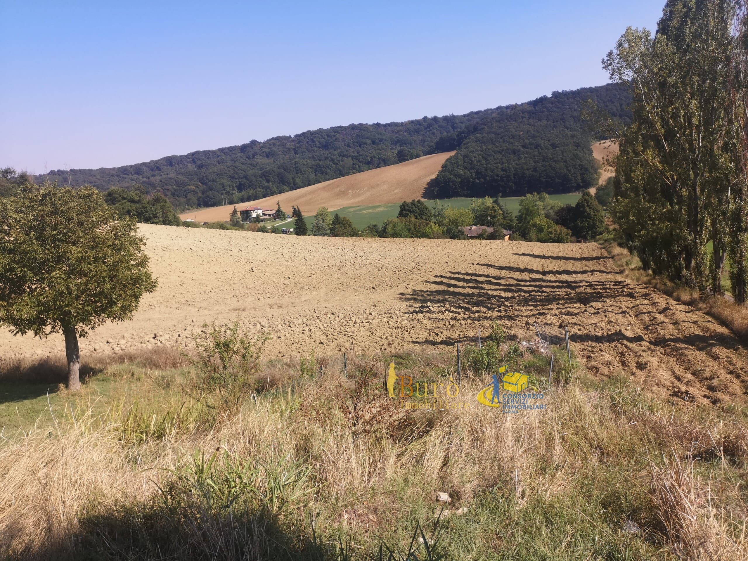 Prato Talignano · BU155 · foto 3
