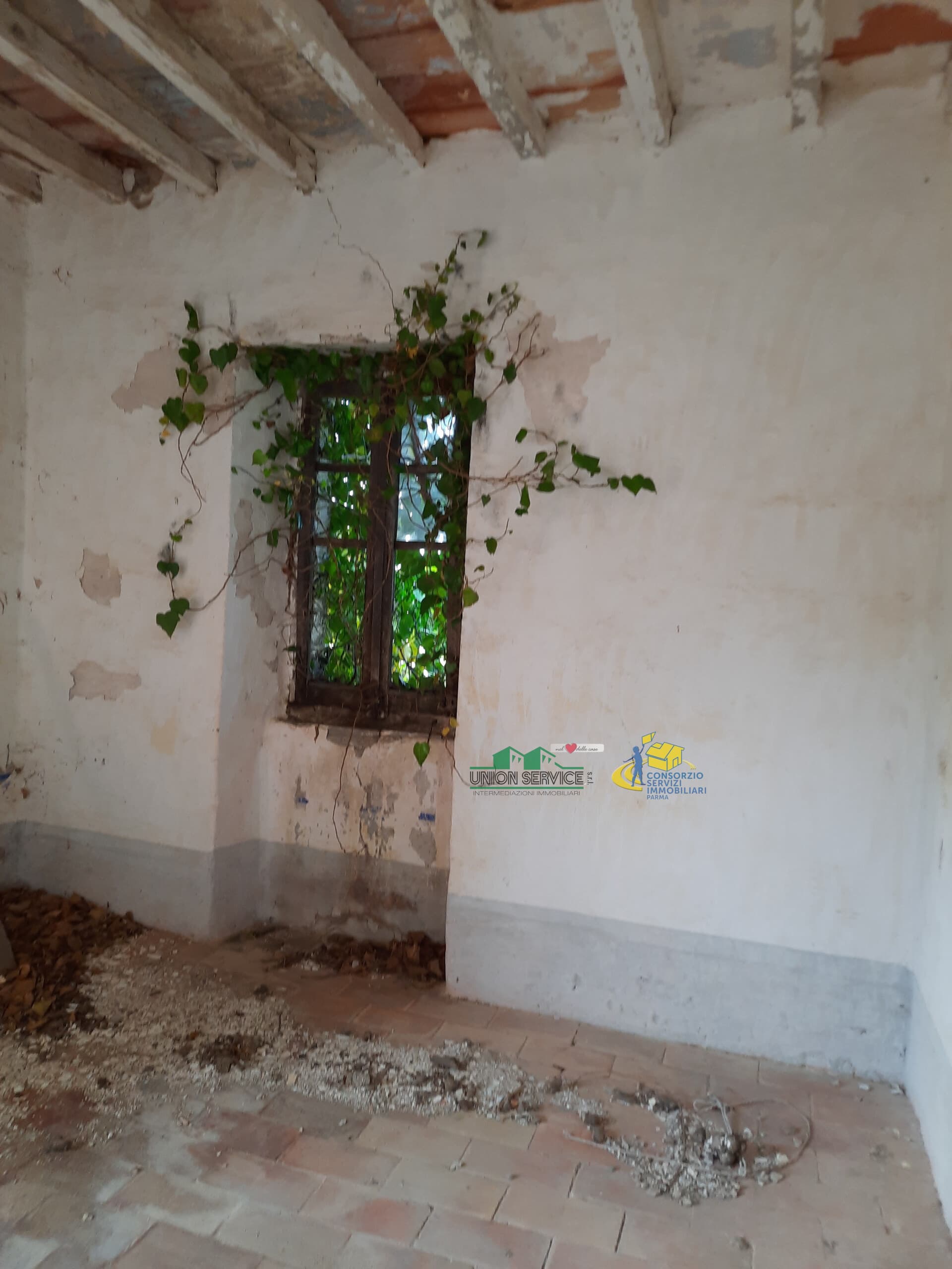 Podere i Molinelli Perneto/Castellonchio Berceto · Berceto · Rif. 957 · foto 24