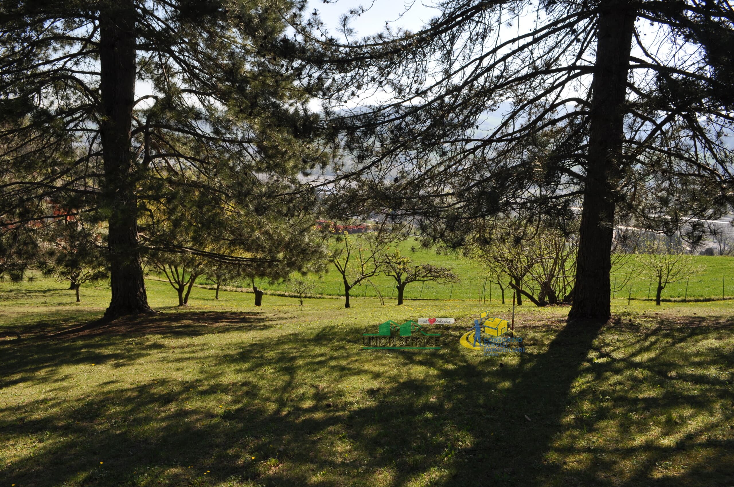 LOTTO LANGHIRANO · Langhirano · Rif. 1068 · foto 15