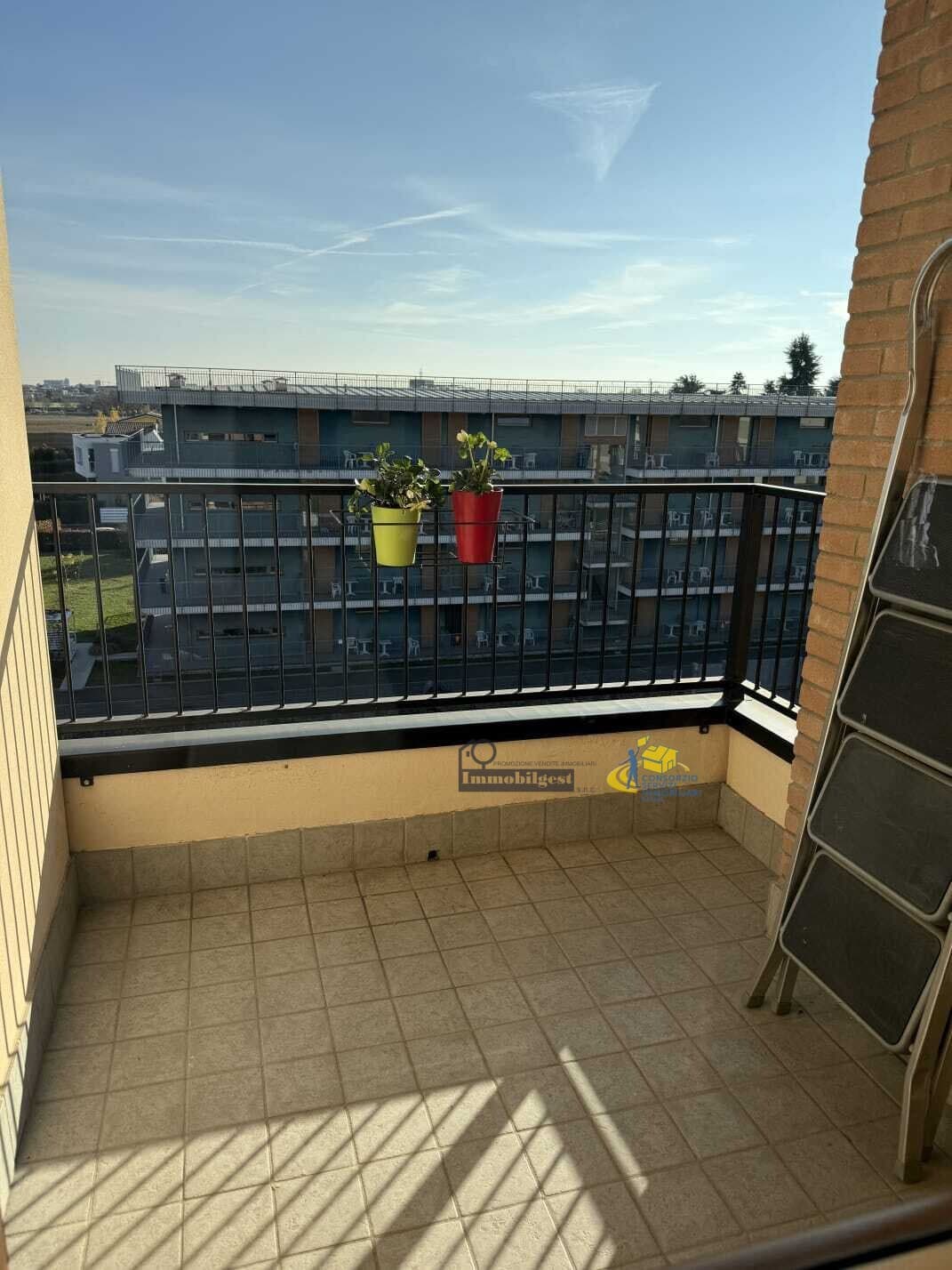 San Pancrazio · San Pancrazio · Rif. IMRZ884 · foto 17