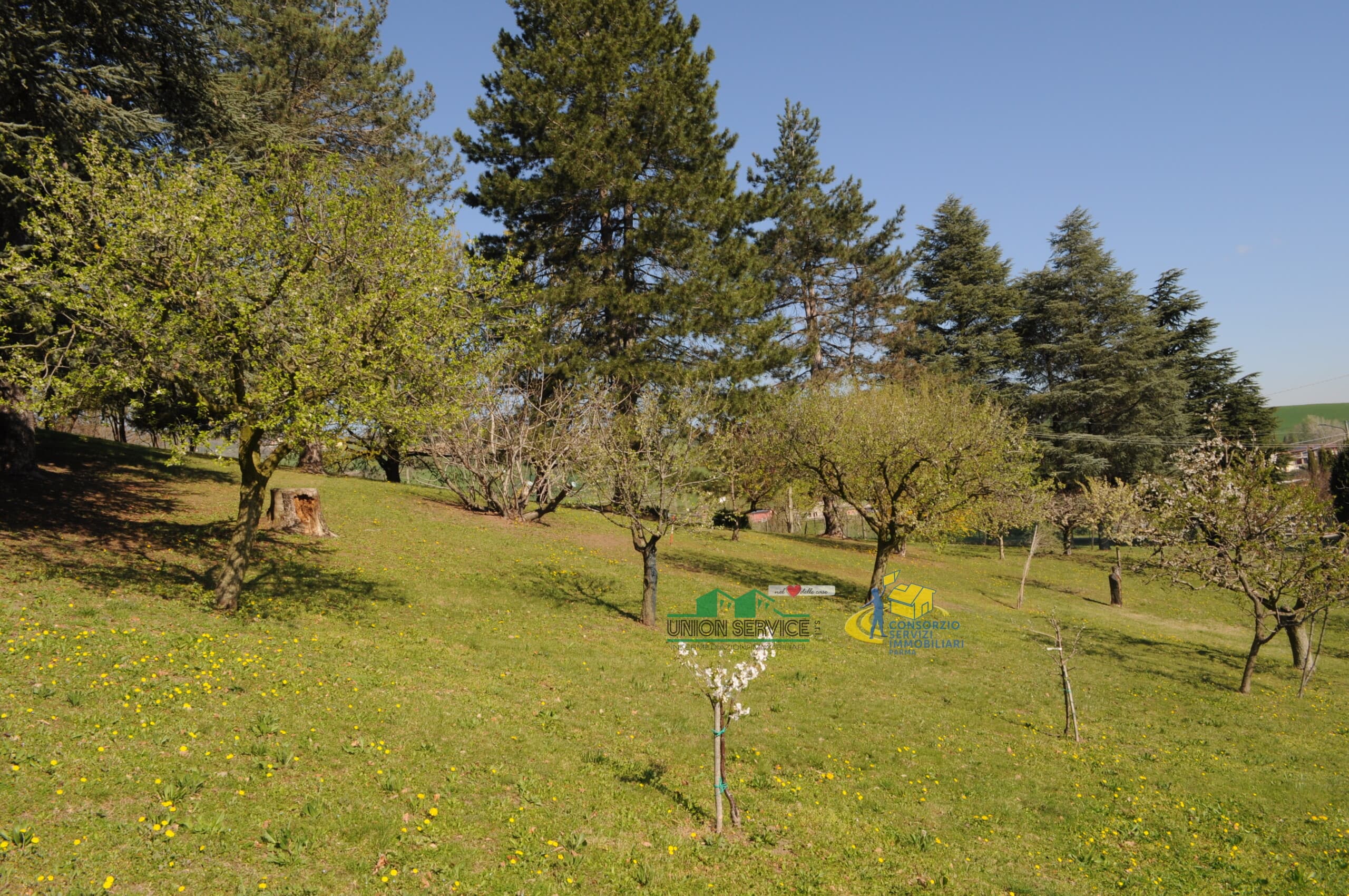 LOTTO LANGHIRANO · Langhirano · Rif. 1068 · foto 3