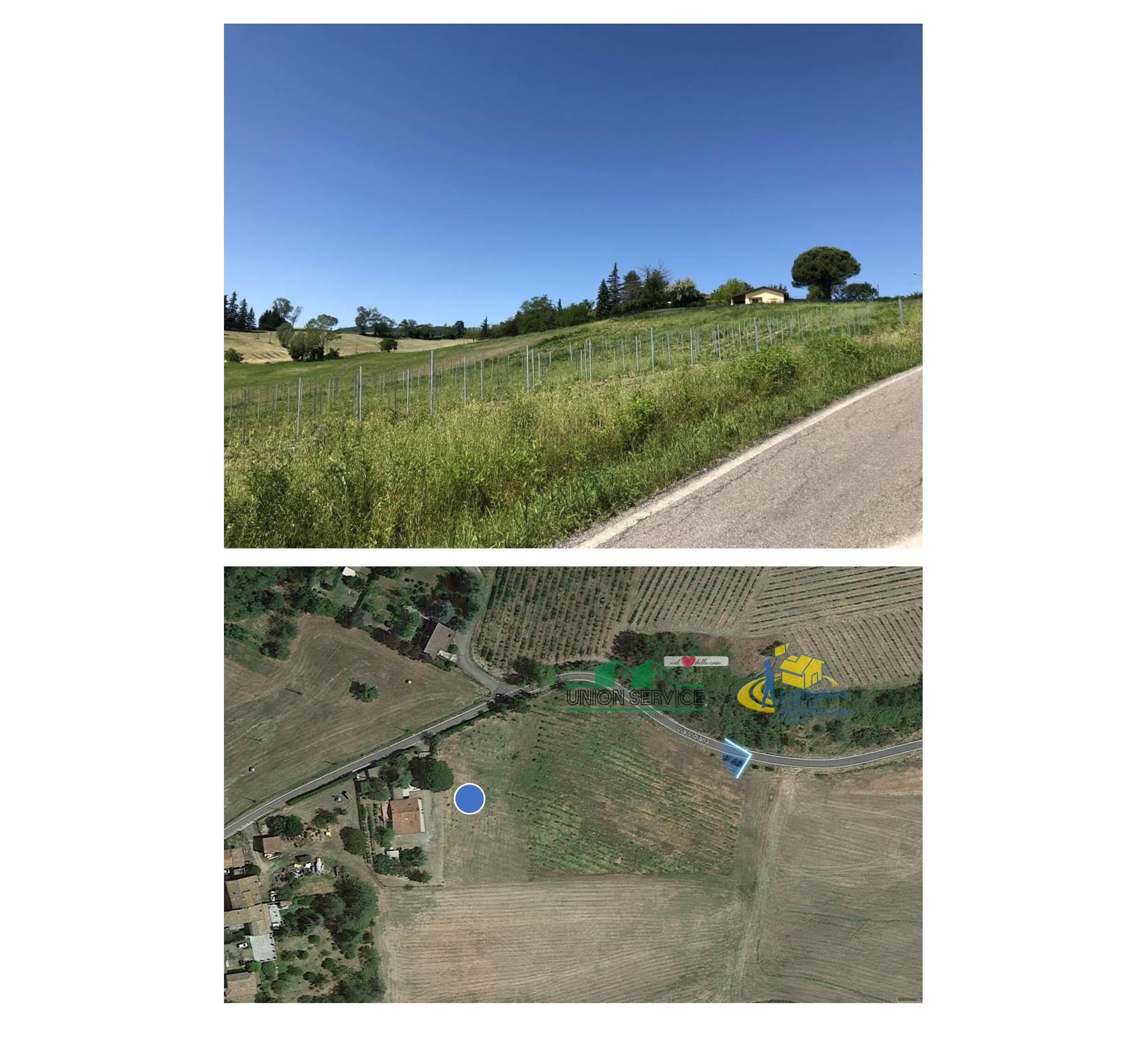 Terreno Torrechiara · Langhirano · Rif. 1169 · foto 8