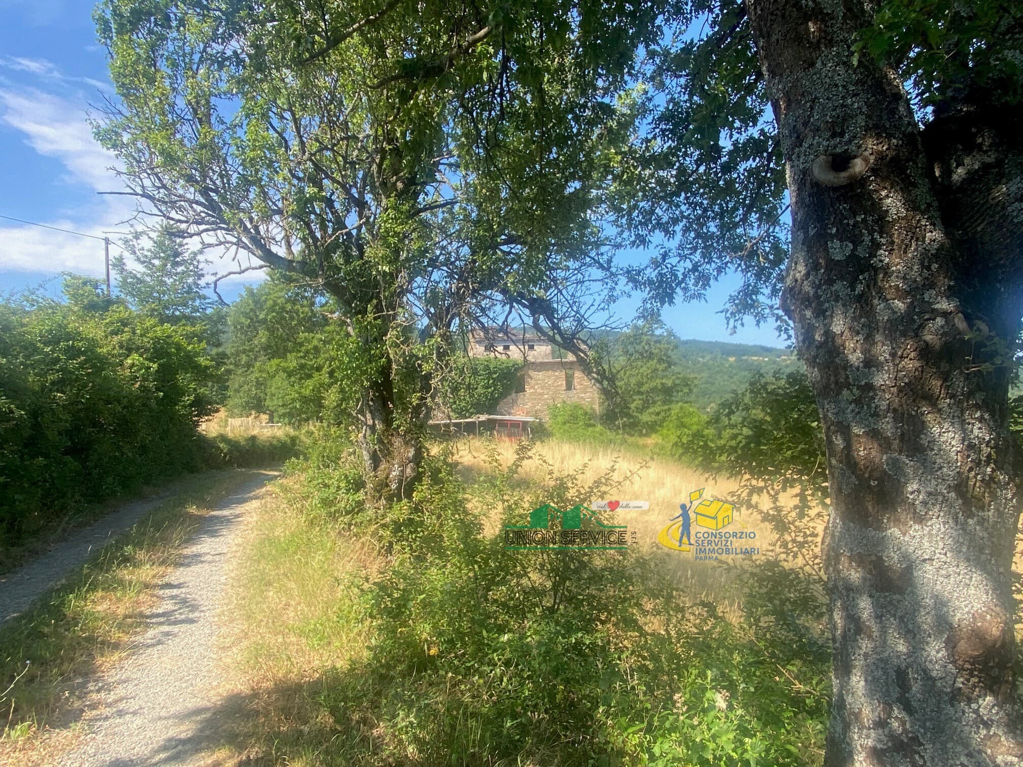 Podere i Molinelli Perneto/Castellonchio Berceto · Berceto · Rif. 957 · foto 2