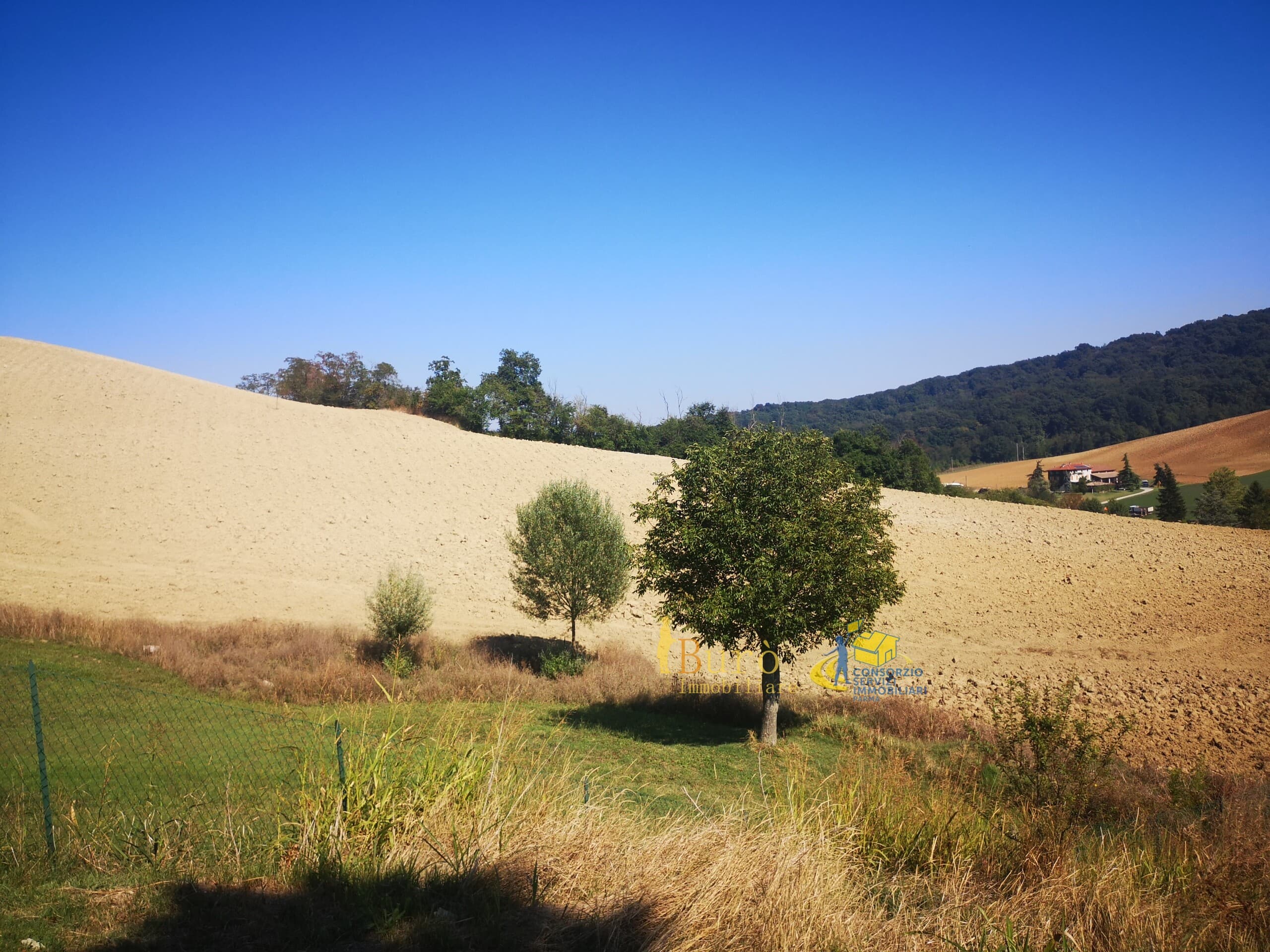 Prato Talignano · BU155 · foto 2