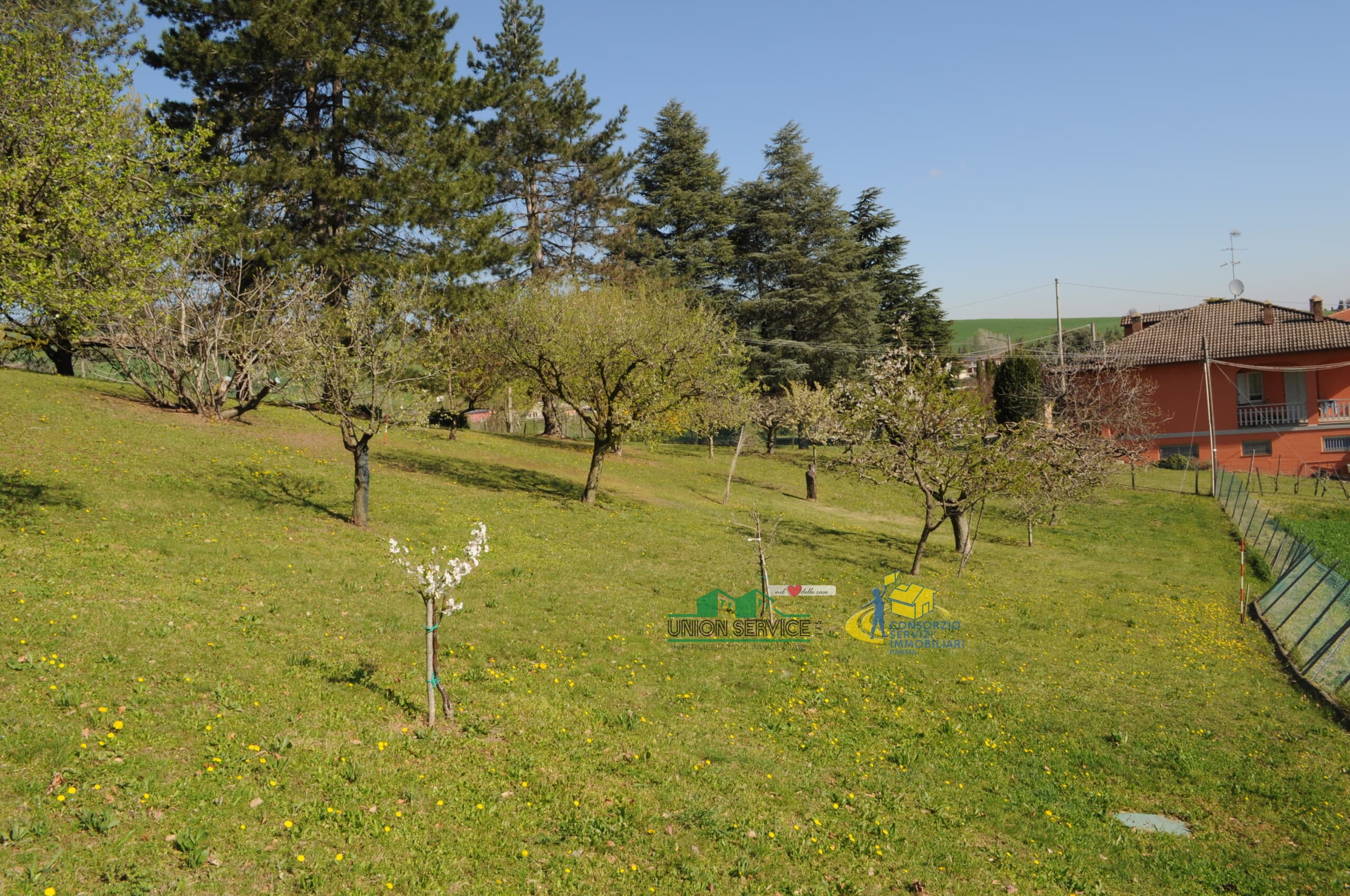 LOTTO LANGHIRANO · Langhirano · Rif. 1068 · foto 4