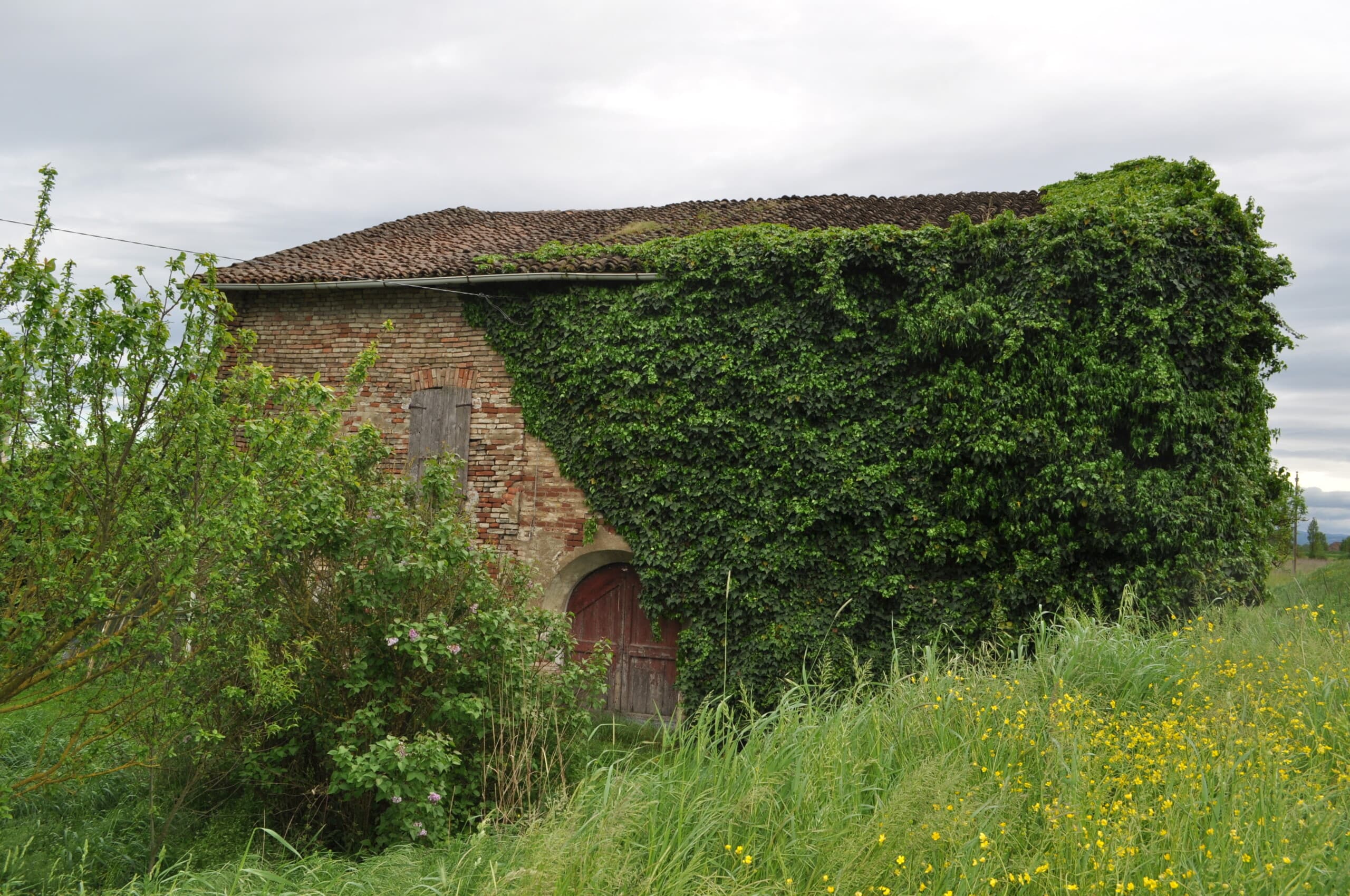 rustico loc.Pizzo · San Secondo Parmense · Rif. 1194 · foto 12
