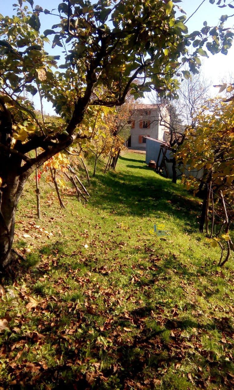 Bifamiliare Pellegrino Parmense · BU160 · foto 24
