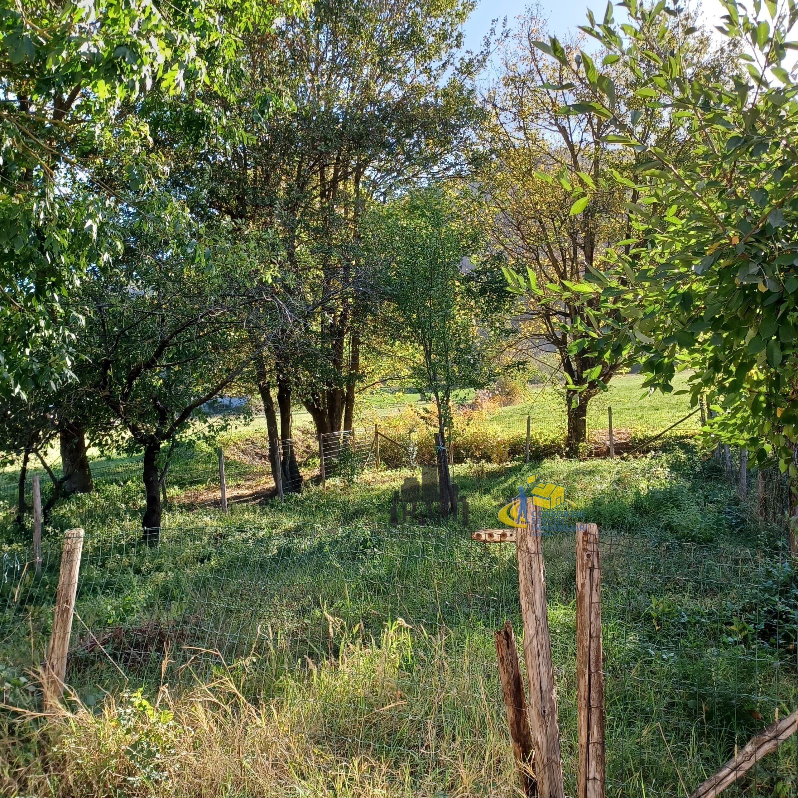 Corniglio · Corniglio · Rif. C672 · foto 5
