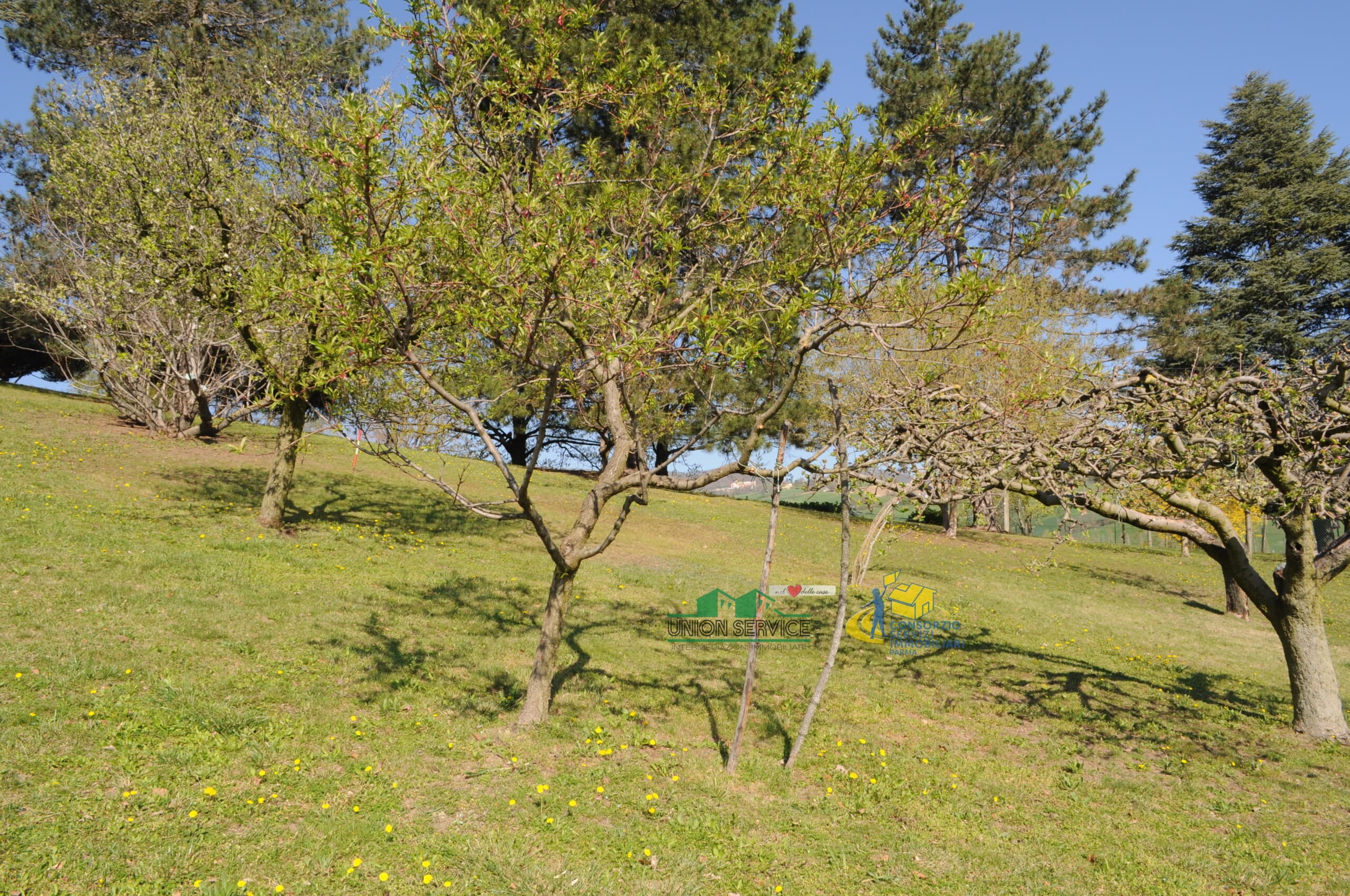 LOTTO LANGHIRANO · Langhirano · Rif. 1068 · foto 7