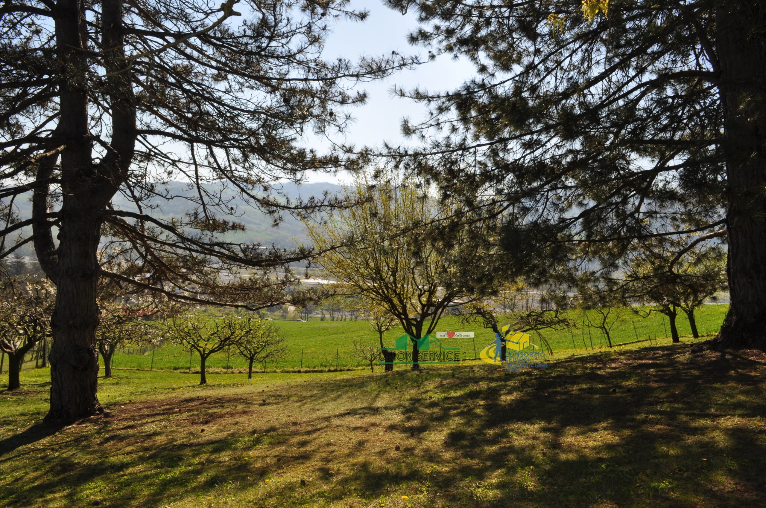 LOTTO LANGHIRANO · Langhirano · Rif. 1068 · foto 16
