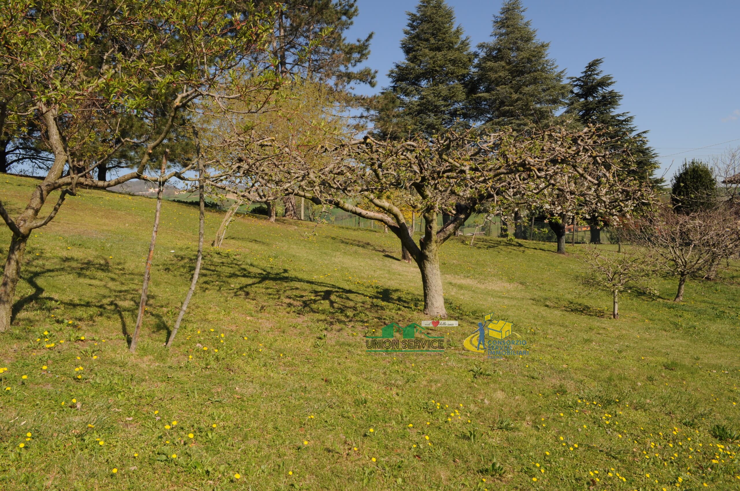 LOTTO LANGHIRANO · Langhirano · Rif. 1068 · foto 5