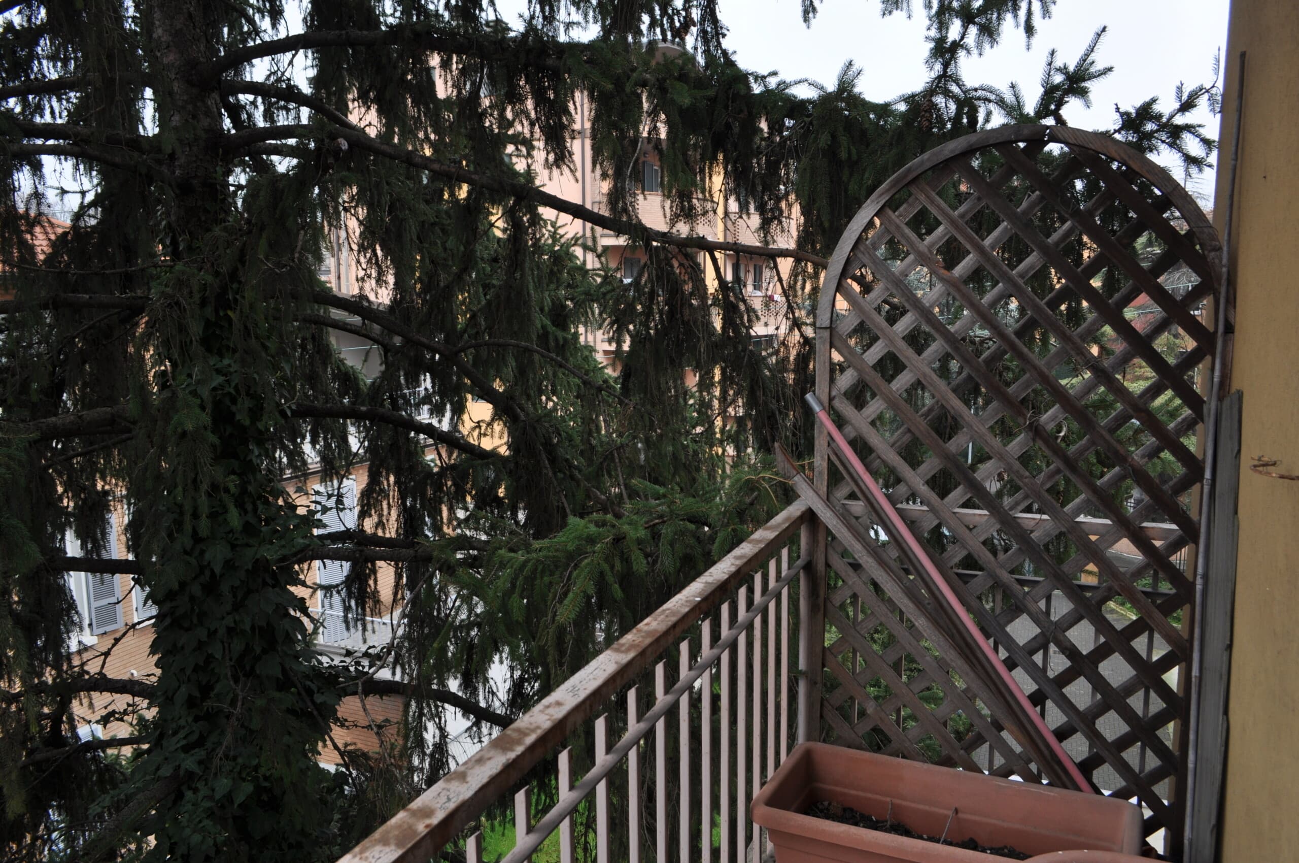 trilocale via Volturno · Parma · Rif. 1228 · foto 22
