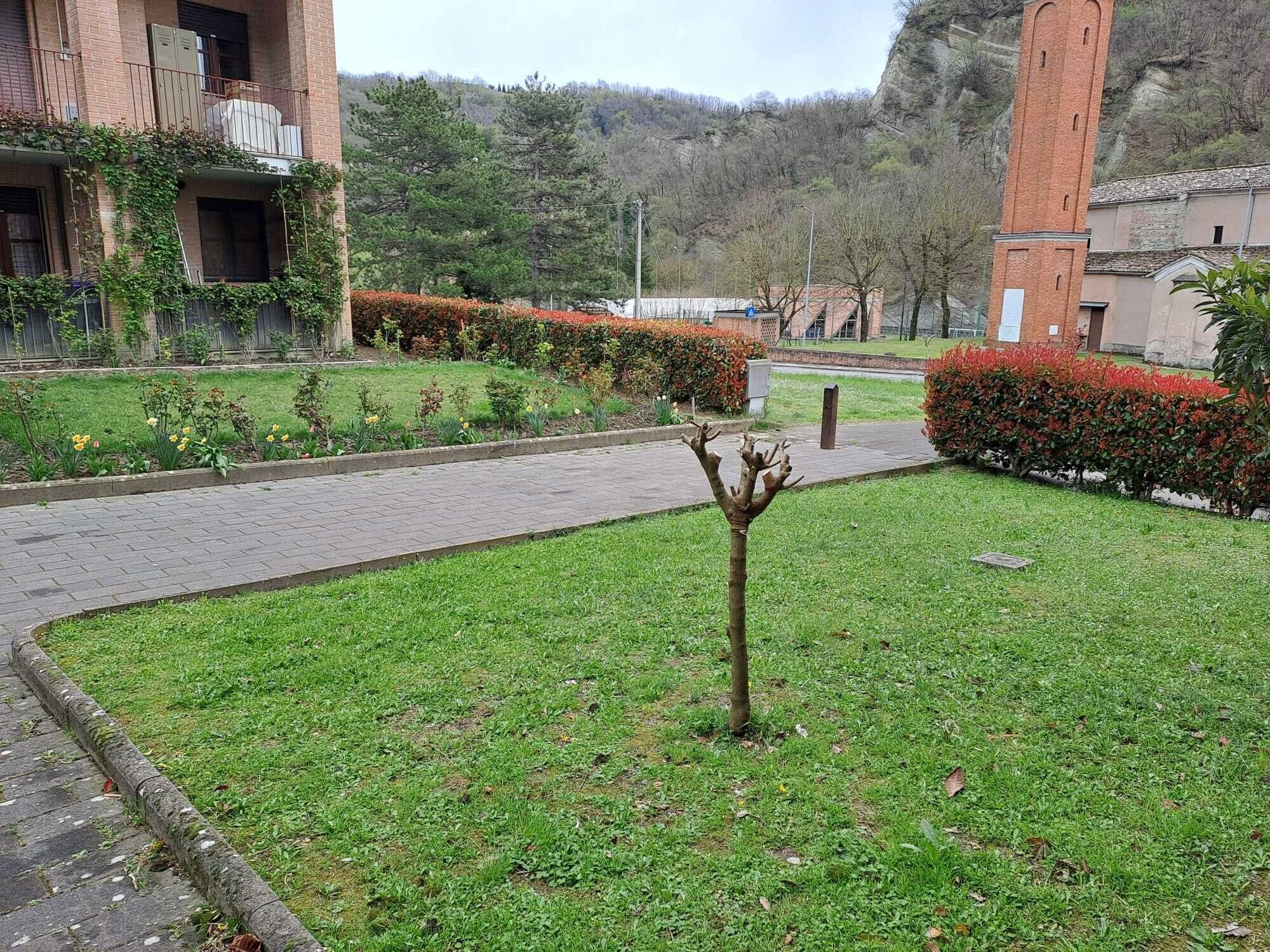 varano · Medesano · Rif. 339 · foto 21