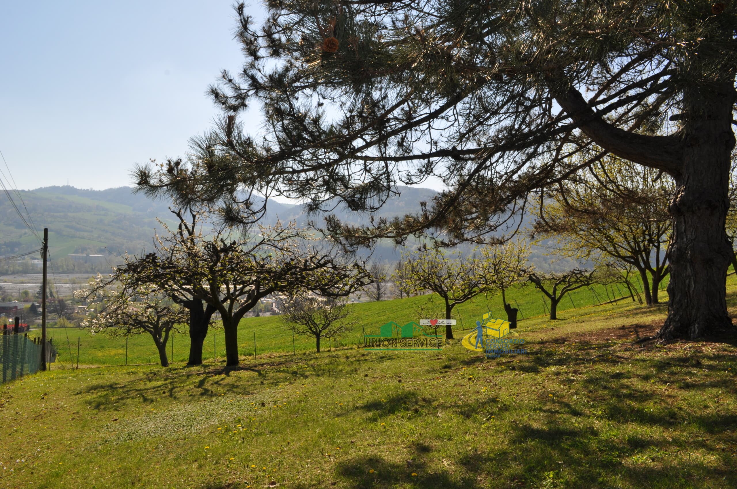 LOTTO LANGHIRANO · Langhirano · Rif. 1068 · foto 20