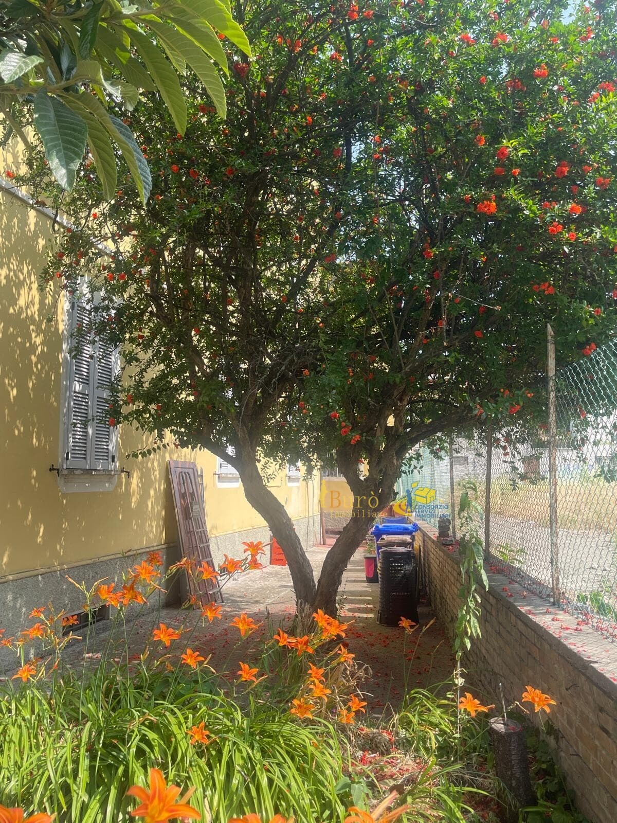 Intera palazzina Parma · BU12222RC · foto 4